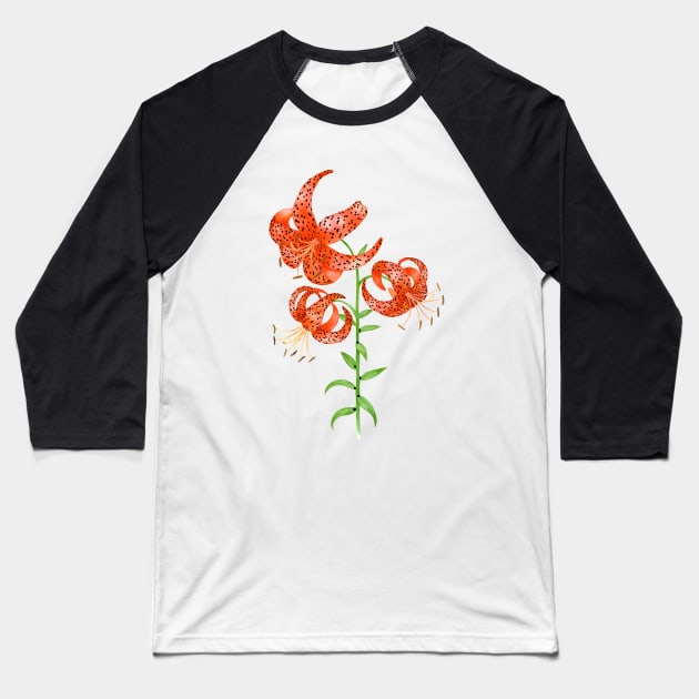 Tiger Lilies (Lilium lancifolium) Baseball T-Shirt by illucalliart